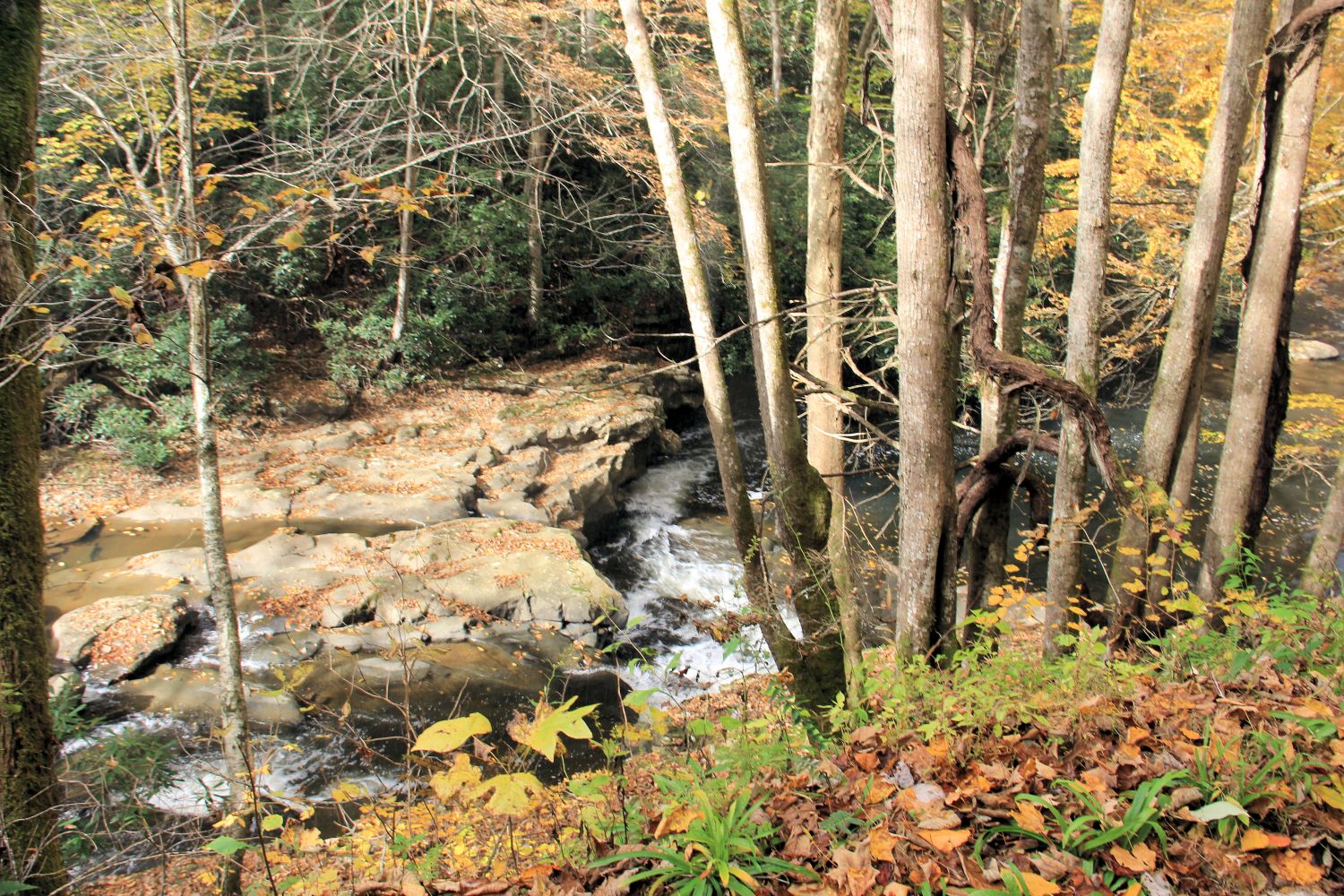 Glade Creek Trail 